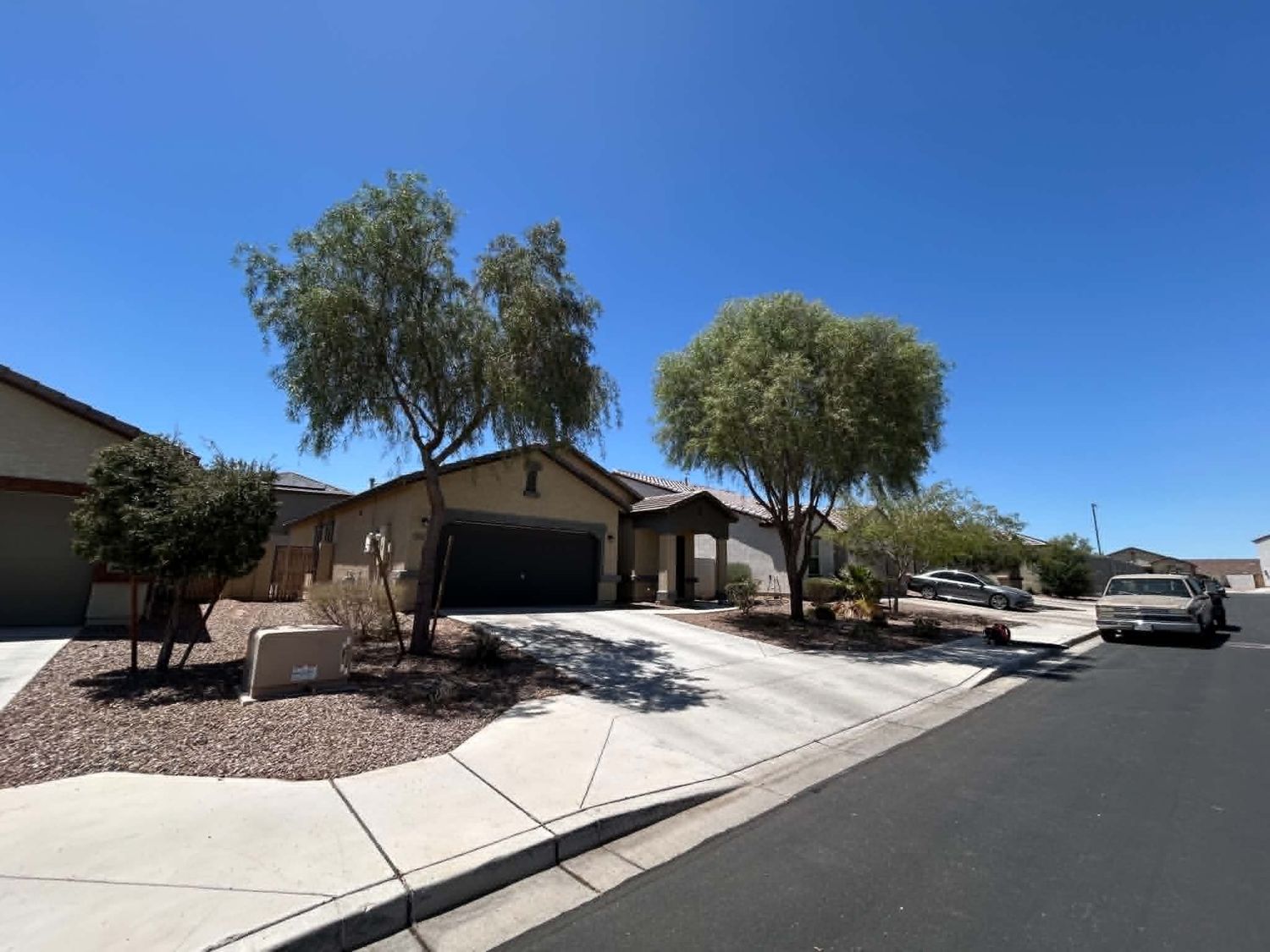 Tree care and yard cleanup by Elite G Landscaping