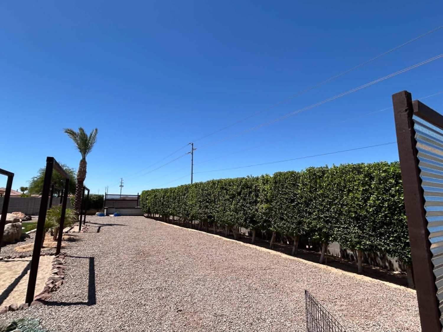 Razor-straight hedge lines by Elite G Landscaping